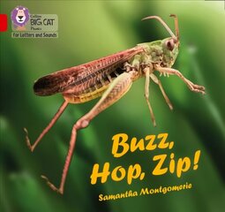 Buzz, Hop, Zip!: Band 02a/Red a цена и информация | Книги для подростков и молодежи | 220.lv