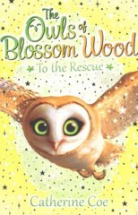 Owls of Blossom Wood: To the Rescue цена и информация | Книги для подростков  | 220.lv