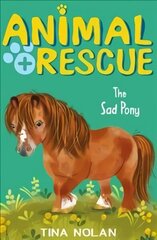 Sad Pony цена и информация | Книги для подростков и молодежи | 220.lv