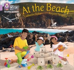 At the Beach: Band 00/Lilac цена и информация | Книги для подростков и молодежи | 220.lv