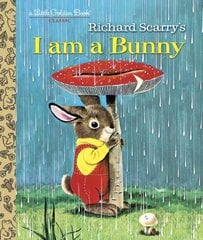 I Am A Bunny цена и информация | Книги для подростков  | 220.lv