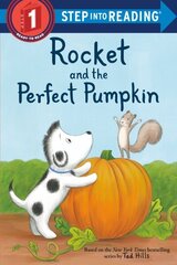 Rocket and the Perfect Pumpkin cena un informācija | Grāmatas pusaudžiem un jauniešiem | 220.lv