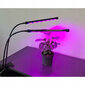 Stādu audzēšanas lampa BERIMAX 40 LED cena un informācija | Diedzēšanas trauki, augu lampas | 220.lv