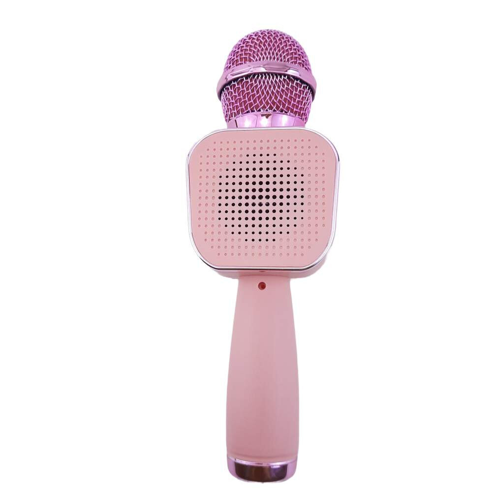 Karaoke mikrofons BERIMAX 500C цена и информация | Mikrofoni | 220.lv