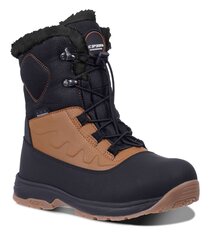 Детские сапоги Icepeak Alofi 72268-4*155 6438549191059, коричневые/черные цена и информация | Детская зимняя обувь | 220.lv