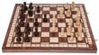 Galda spēle, koka šahs, dambrete un nardi, 40 x 40 cm цена и информация | Galda spēles | 220.lv