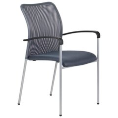 Krēsls HN-7501/AL GREY cena un informācija | Virtuves un ēdamistabas krēsli | 220.lv