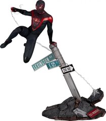 Marvel's Spider-Man Miles Morales cena un informācija | Datorspēļu suvenīri | 220.lv