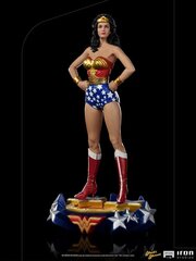 DC Comics Deluxe Art Scale Wonder Woman цена и информация | Атрибутика для игроков | 220.lv