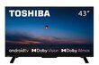 Toshiba 43UA2363DG цена и информация | Televizori | 220.lv