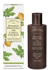 Šampūns krāsotiem matiem L`Erbolario Shampoo Protettivo Per Capelli Colorati 200 ml cena un informācija | Šampūni | 220.lv