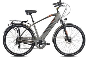 Elektriskais velosipēds Torpado Apollo T245A, pelēks цена и информация | Электровелосипеды | 220.lv