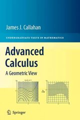 Advanced Calculus: A Geometric View цена и информация | Книги по экономике | 220.lv