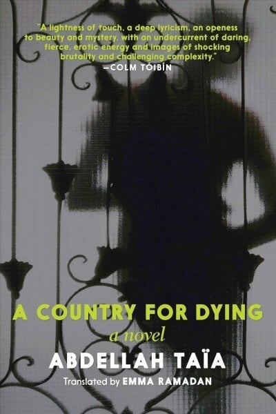 Country For Dying cena un informācija | Fantāzija, fantastikas grāmatas | 220.lv