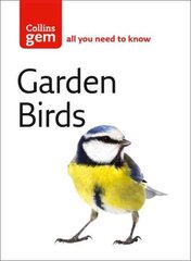 Garden Birds New edition, Garden Birds цена и информация | Книги о питании и здоровом образе жизни | 220.lv