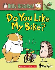 Hello, Hedgehog: Do You Like My Bike? цена и информация | Книги для малышей | 220.lv