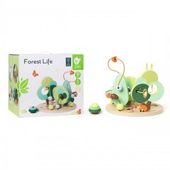 Rotaļlieta labirints Forest Life Classic world cena un informācija | Rotaļlietas zīdaiņiem | 220.lv