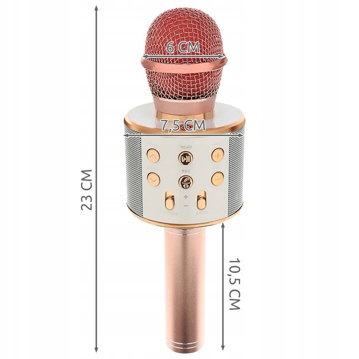 Karaoke mikrofons Izoxis, gaiši rozā cena un informācija | Mūzikas instrumentu piederumi | 220.lv