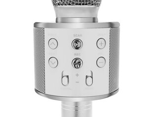 Karaoke mikrofons Izoxis, sudrabs цена и информация | Принадлежности для музыкальных инструментов | 220.lv