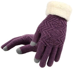 Женские зимние перчатки R60 цена и информация | Женские перчатки | 220.lv