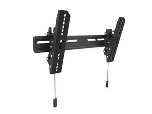 Multibrackets MB-6560 OLED Настенное ТВ крепление 32-65" / 50kg цена и информация | Кронштейны и крепления для телевизоров | 220.lv