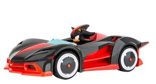 Auto trases, Sonic, 4.3m cena un informācija | Carrera Rotaļlietas, bērnu preces | 220.lv