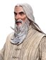 The Lord of the Rings Fandom Saruman the White cena un informācija | Datorspēļu suvenīri | 220.lv