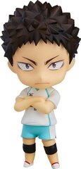 Haikyu!! Hajime Iwaizumi cena un informācija | Datorspēļu suvenīri | 220.lv