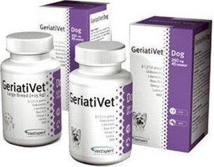 Uztura bagātinātājs vecākiem lielo šķirņu suņiem VetExpert GeriatiVet Dog, 45 gab. cena un informācija | Vitamīni, uztura bagātinātāji, pretparazītu līdzekļi suņiem | 220.lv