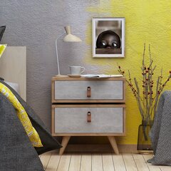 Товар с повреждением. Ночной шкаф Kalune Design Olenj, коричневый цена и информация | Прикроватные тумбочки | 220.lv