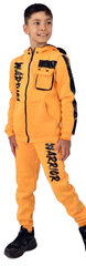 Теплый спортивный костюм для мальчика, желтый цена и информация | Комплекты для мальчиков | 220.lv
