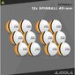 Galda tenisa bumbiņu komplekts Joola Spin Ball, 12gb, balts цена и информация | Galda tenisa bumbiņas | 220.lv