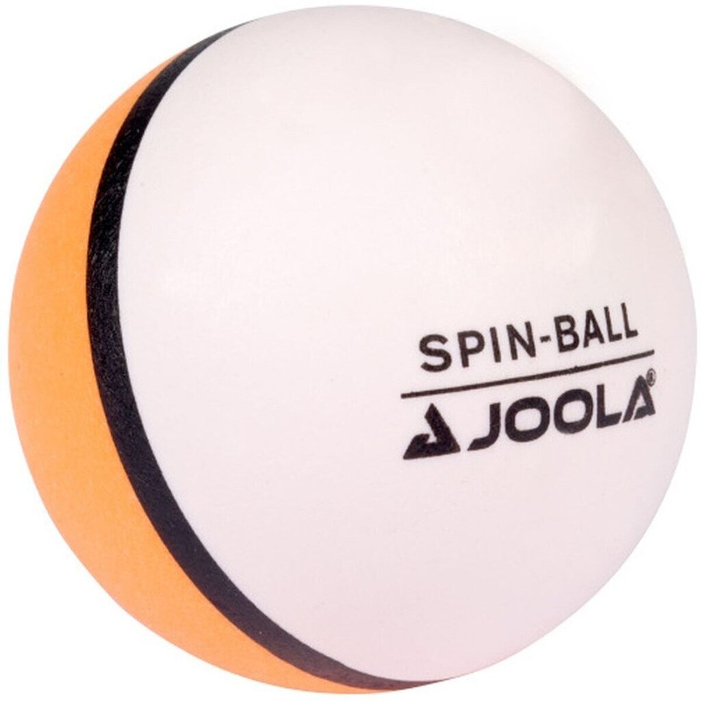 Galda tenisa bumbiņu komplekts Joola Spin Ball, 12gb, balts цена и информация | Galda tenisa bumbiņas | 220.lv