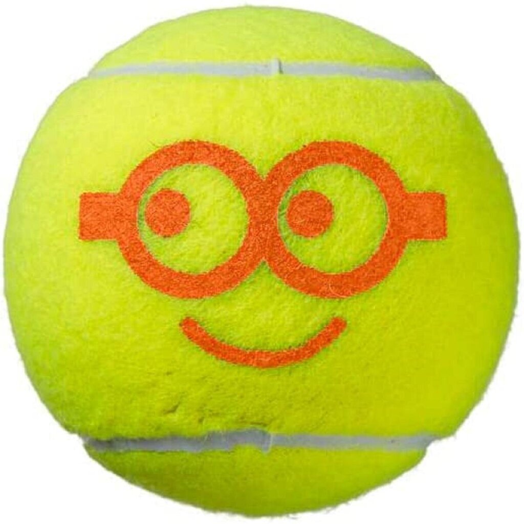 Āra tenisa bumbiņas Wilson, 3 gab, dzeltenas цена и информация | Āra tenisa preces | 220.lv