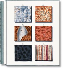 Jan Christiaan Sepp. The Book of Marble Multilingual edition cena un informācija | Mākslas grāmatas | 220.lv