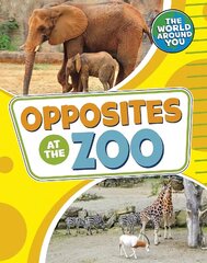 Opposites at the Zoo цена и информация | Книги для малышей | 220.lv