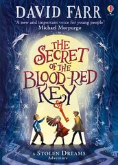 Secret of the Blood-Red Key cena un informācija | Grāmatas pusaudžiem un jauniešiem | 220.lv