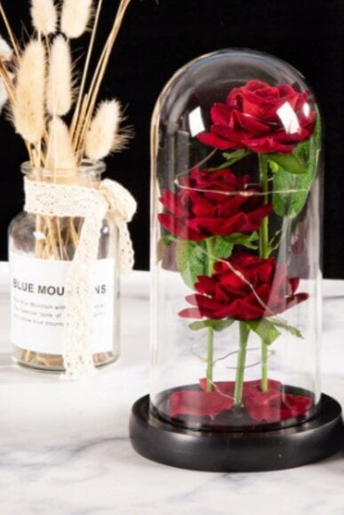 Stabilizēta roze Belsi V cena un informācija | Stabilizētās rozes, augi | 220.lv