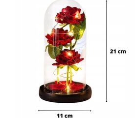 Stabilizēta roze Belsi V цена и информация | Спящие стабилизированные розы, растения | 220.lv