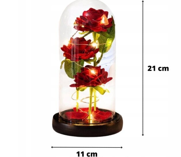 Stabilizēta roze Belsi V cena un informācija | Stabilizētās rozes, augi | 220.lv