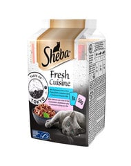 Sheba Fresh Cuisine Taste of Tokyo pieaugušiem kaķiem ar tunci un rīsiem, ar lasi un rīsiem, 12x(6x50g) cena un informācija | Sheba Zoo preces | 220.lv