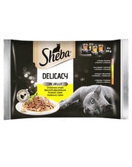 Sheba Delicato komplekts ar mājputnu gaļu, 4 x 85g x13 cena un informācija | Sheba Zoo preces | 220.lv