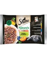 Sheba Nature’s Collection komplekts pieaugušiem kaķiem, 13x(4x85g) cena un informācija | Konservi kaķiem | 220.lv