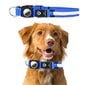 LED apgaismota suņa kaklasiksna ar AirTag turētāju ELSA (zils) cena un informācija | Apkakles, siksnas suņiem | 220.lv