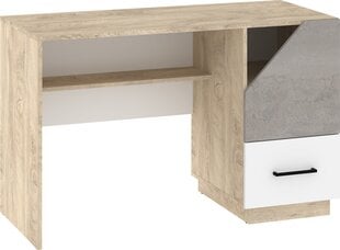 Письменный стол Pax-01, коричневый/серый цвет цена и информация | Компьютерные, письменные столы | 220.lv