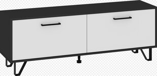 TV galdiņš, melns/balts cena un informācija | TV galdiņi | 220.lv