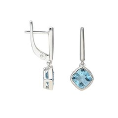 Серебряные серьги с топазом Silver Colours для женщин W60955474 1000000029714 цена и информация | Серьги | 220.lv