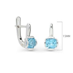 Серебряные серьги с топазом Silver Colours для женщин W60010292 1000000029781 цена и информация | Серьги | 220.lv