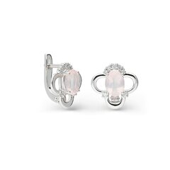 Серебряные серьги Silver Colours для женщин W61294560 1000000029850 цена и информация | Серьги | 220.lv