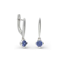 Серебряные серьги с кубическим цирконием Silver Selection для женщин W61336741 1000000029887 цена и информация | Серьги | 220.lv